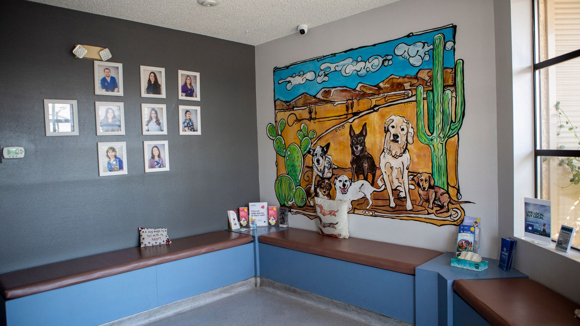 Animal kindness Veterinary Hospital waiting room