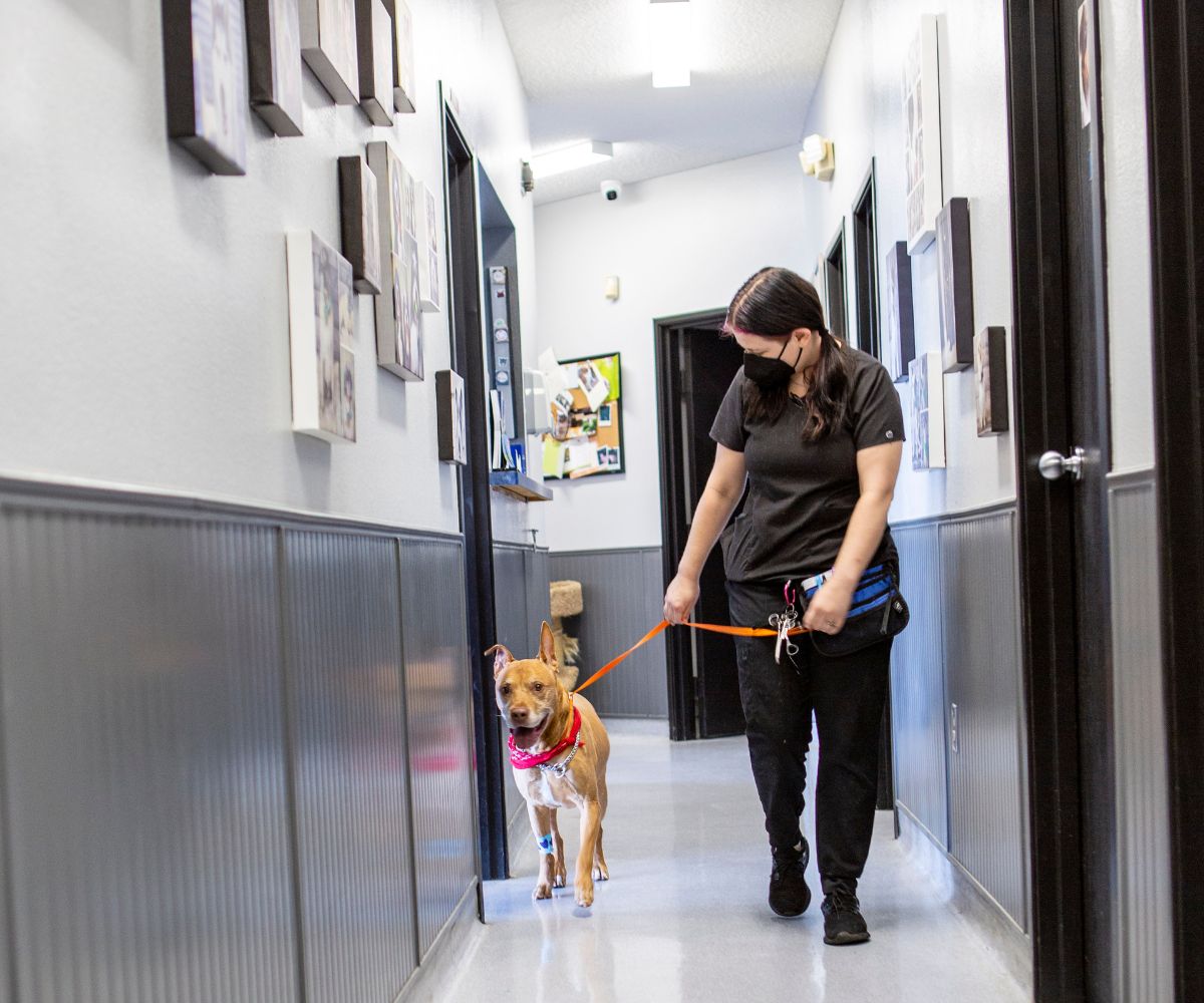 Animal Kindness Veterinary Hospital Appointment Policy