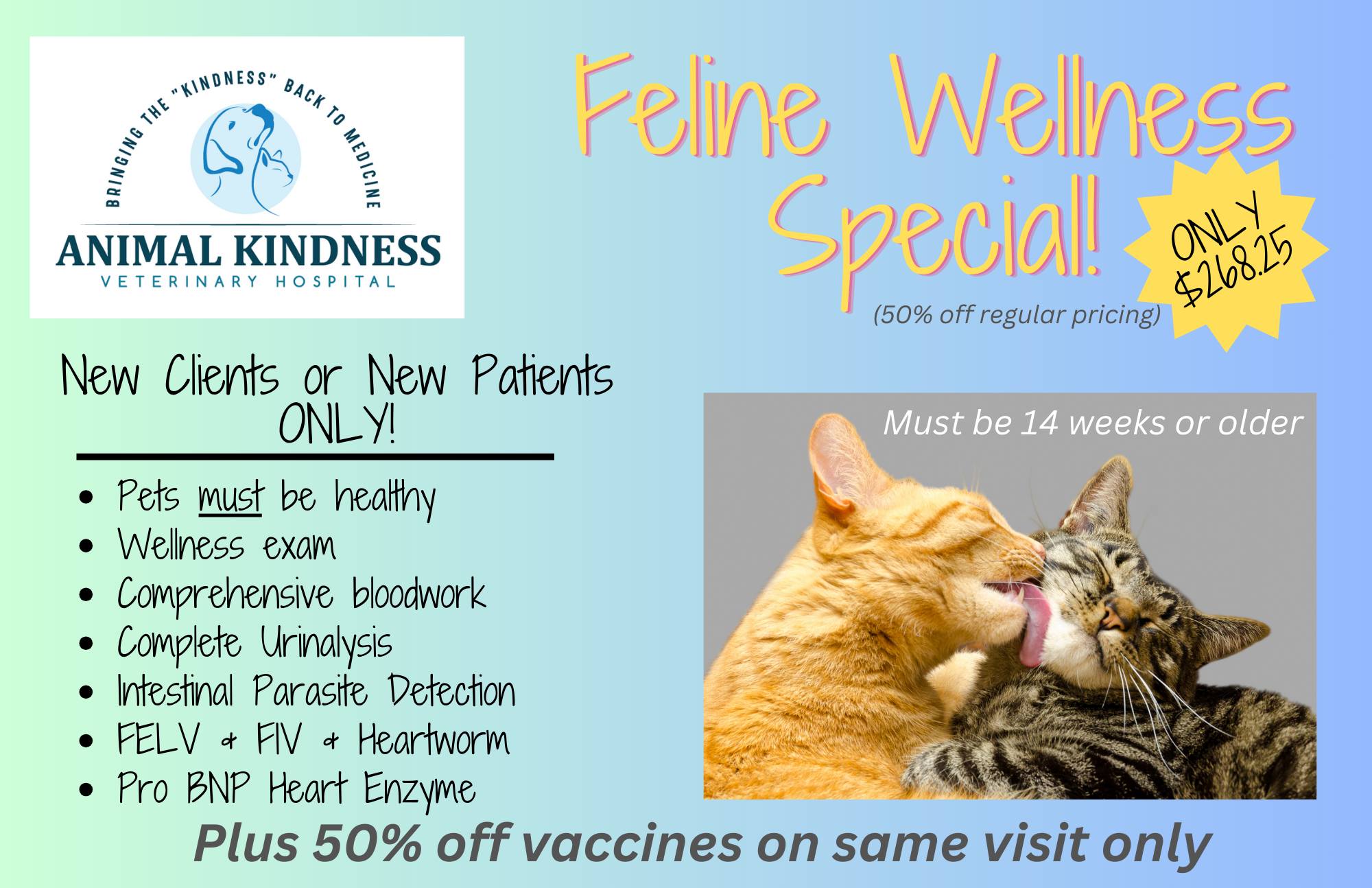 flyer feline wellness special