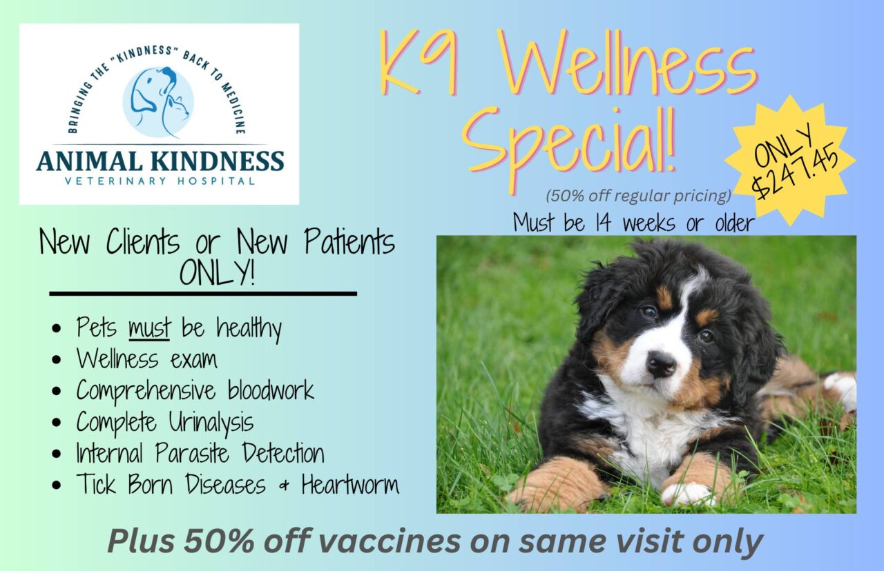 Animal Kindness Veterinary Hospital Specials