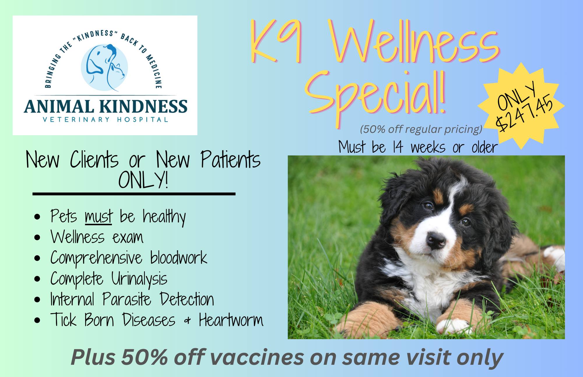 flyer k9 wellness special