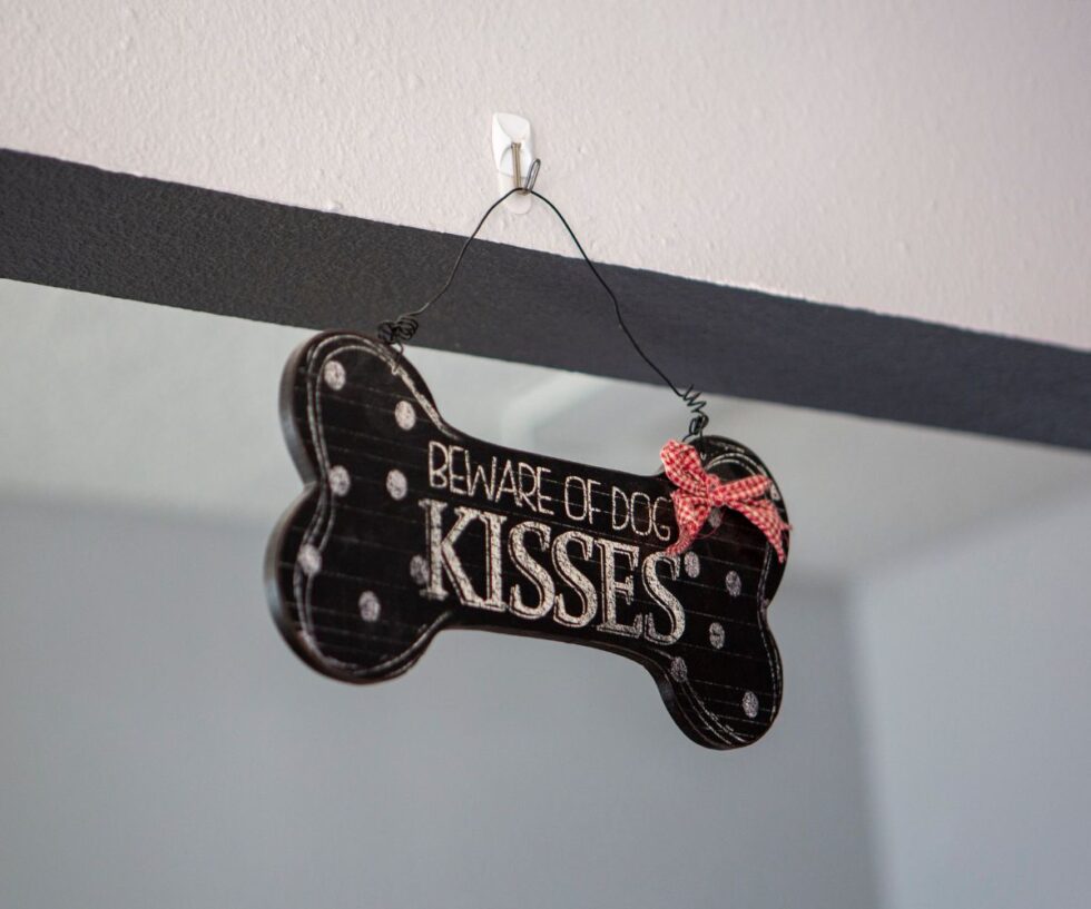 Animal Kindness Veterinary Hospital Specials