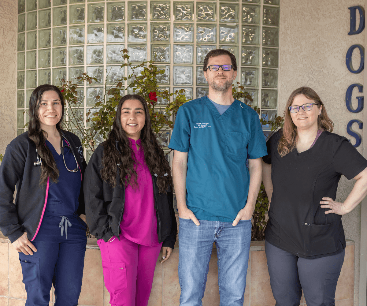 Animal Kindness Veterinary Hospital veterinarians